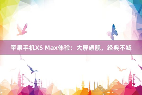 苹果手机XS Max体验：大屏旗舰，经典不减